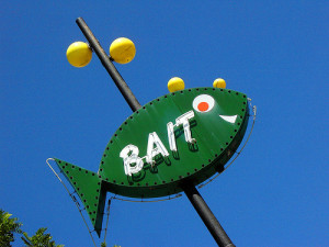 bait