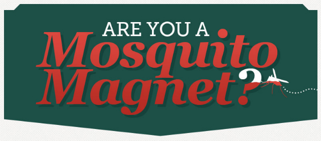 mosquito-magnet-infographic